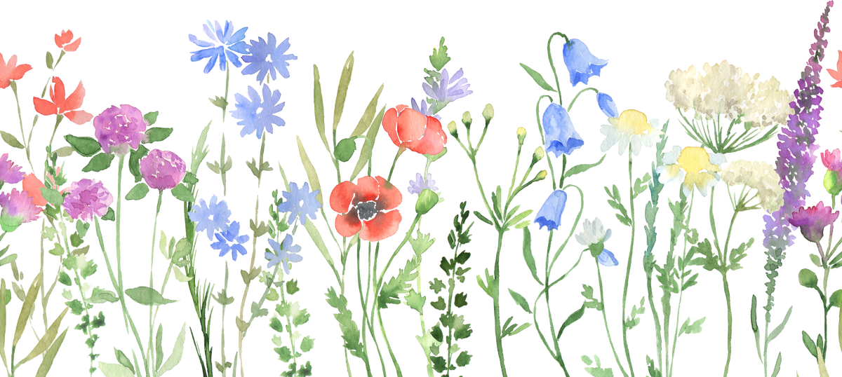 Watercolor Wildflowers Seamless Border